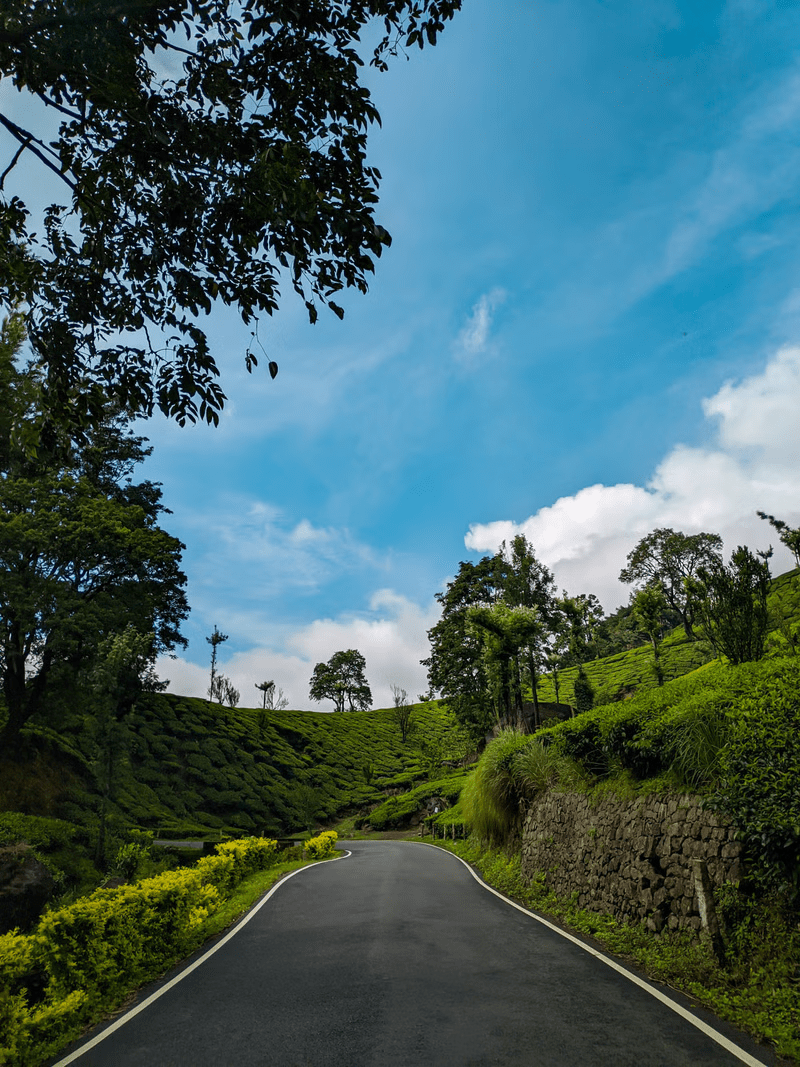 Adventure